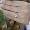 0.5 Ct. Six Stone Shared Prong Graduated Ring Enhancer in Rose Gold