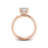 1 Ct Round Moissanite Secret Halo Engagement Ring